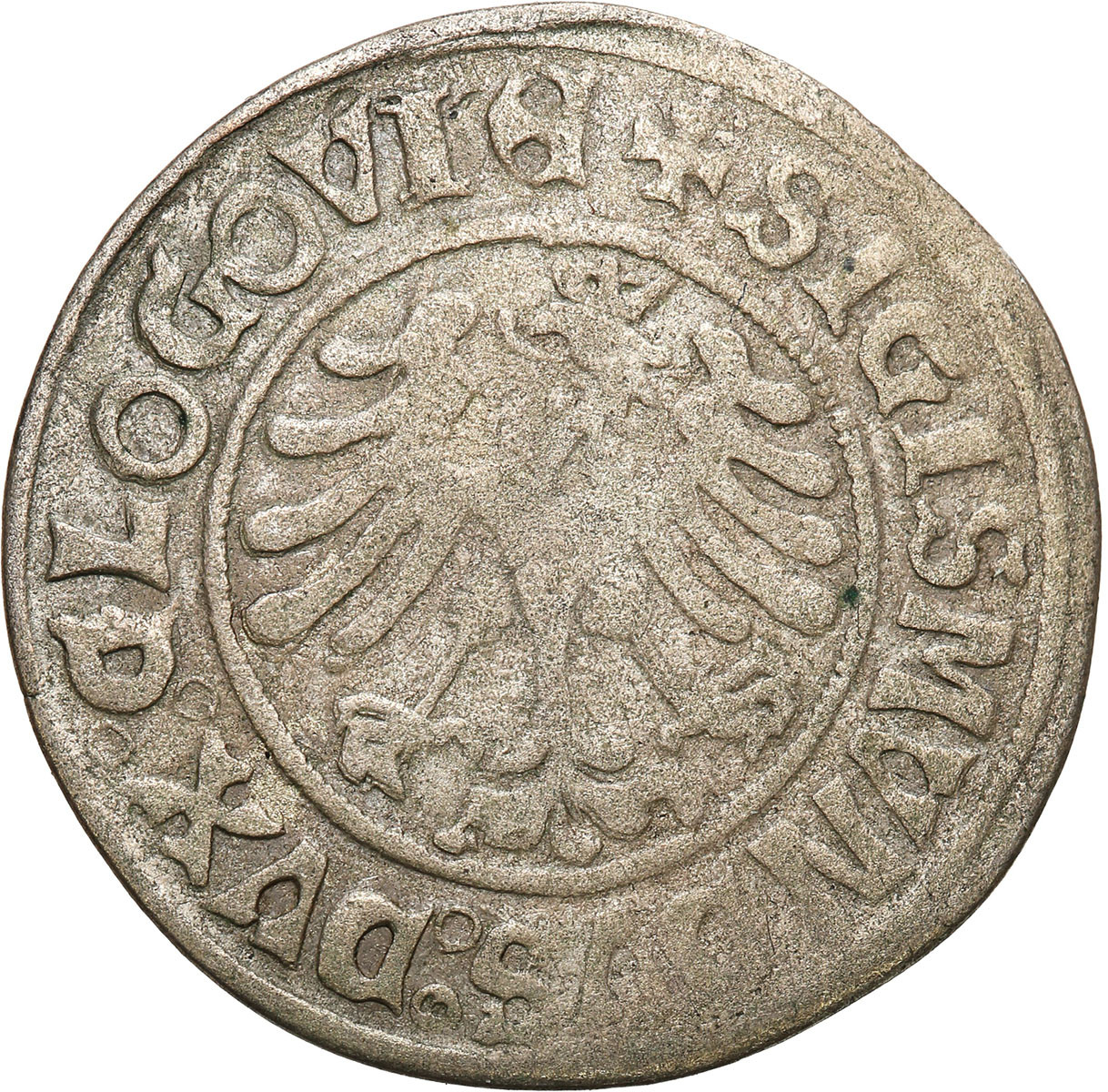 Zygmunt I Stary. Grosz 1506, Głogów – RZADKI